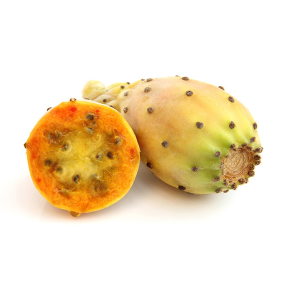 Prickly pear. Prickly Pear фрукт. Опунция плоды. Экстракт плодов опунции. Кактус опунция фрукт.