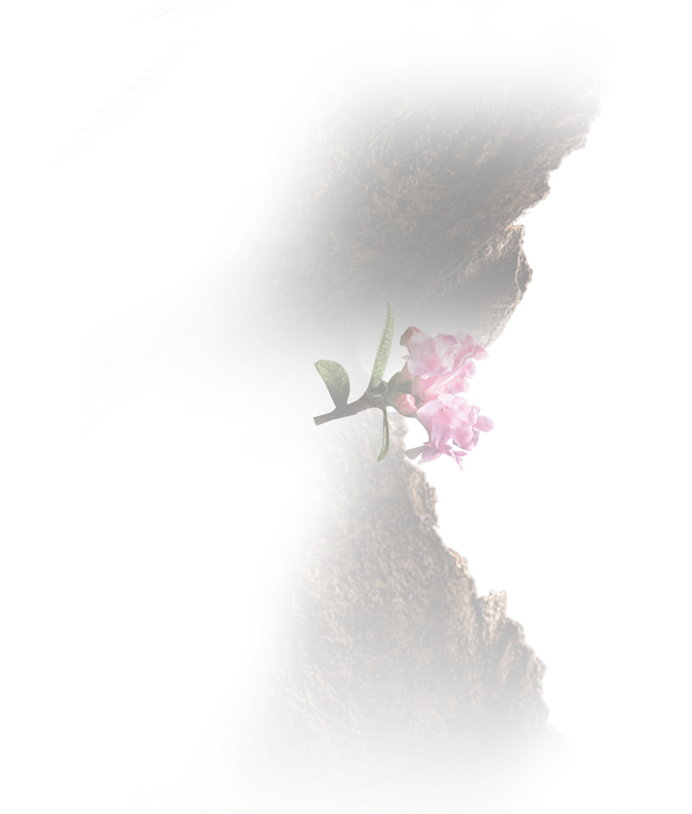 Гравировка