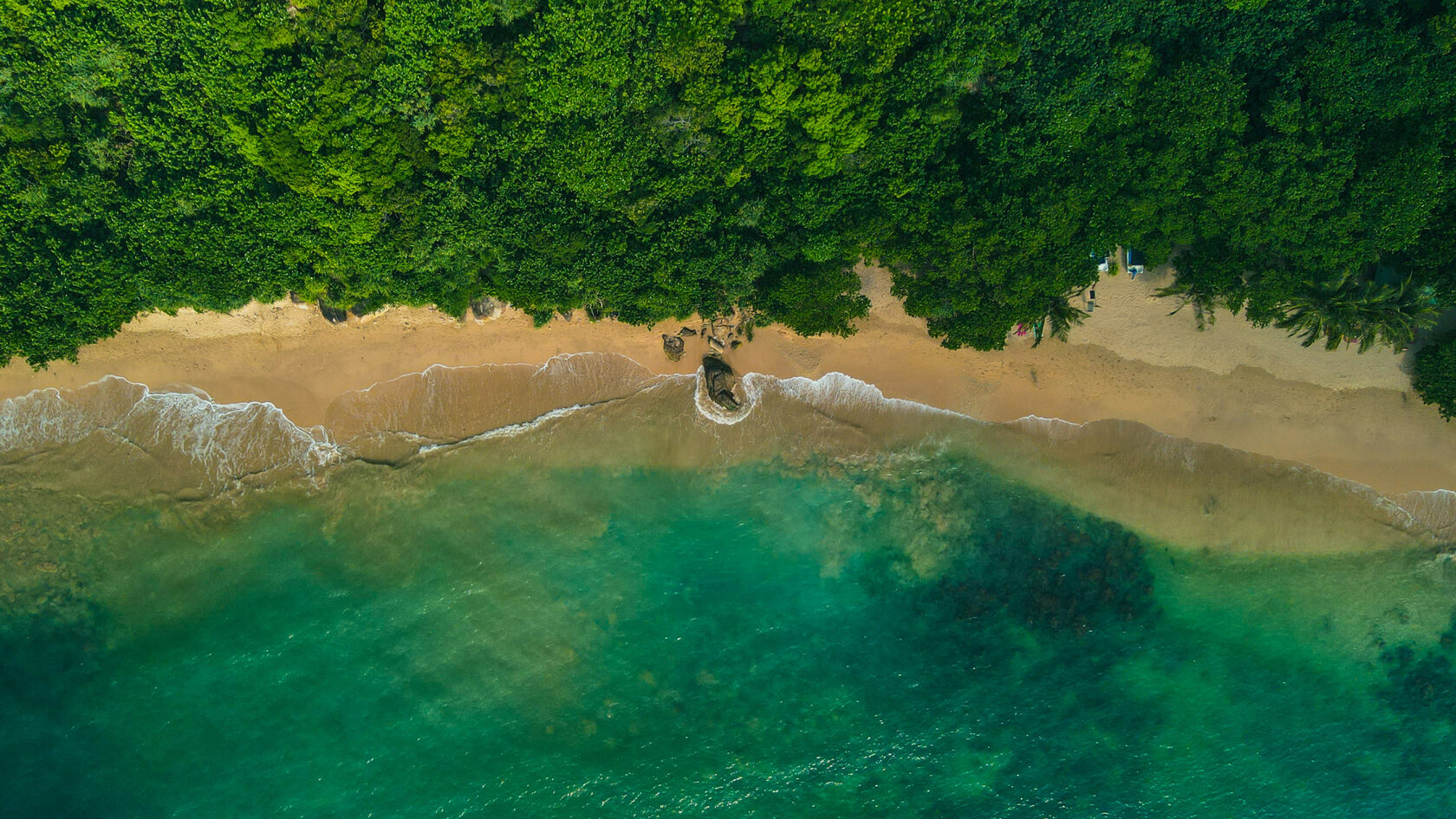 Лес Румассала. Шри-Ланка