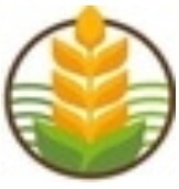 website icon