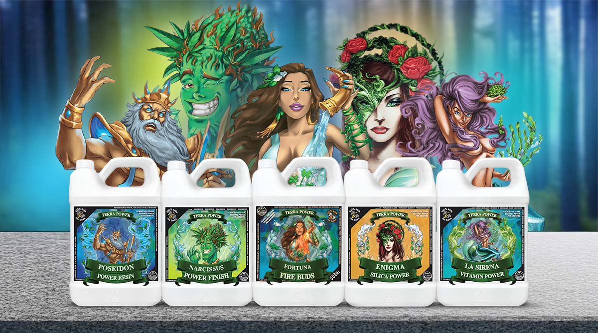 เทคนิคการปลูกพืชอย่างมีประสิทธิภาพด้วยผลิตภัณฑ์ Terra Power