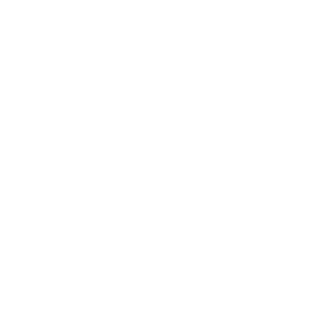 website icon