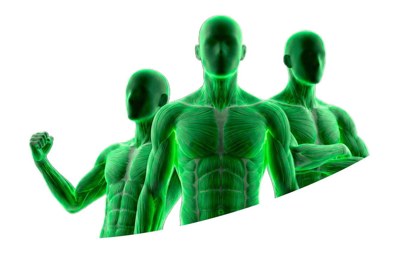 найти работу тренером в Санкт-Петербург, работа тренером онлайн, работа персональным тренером СПб