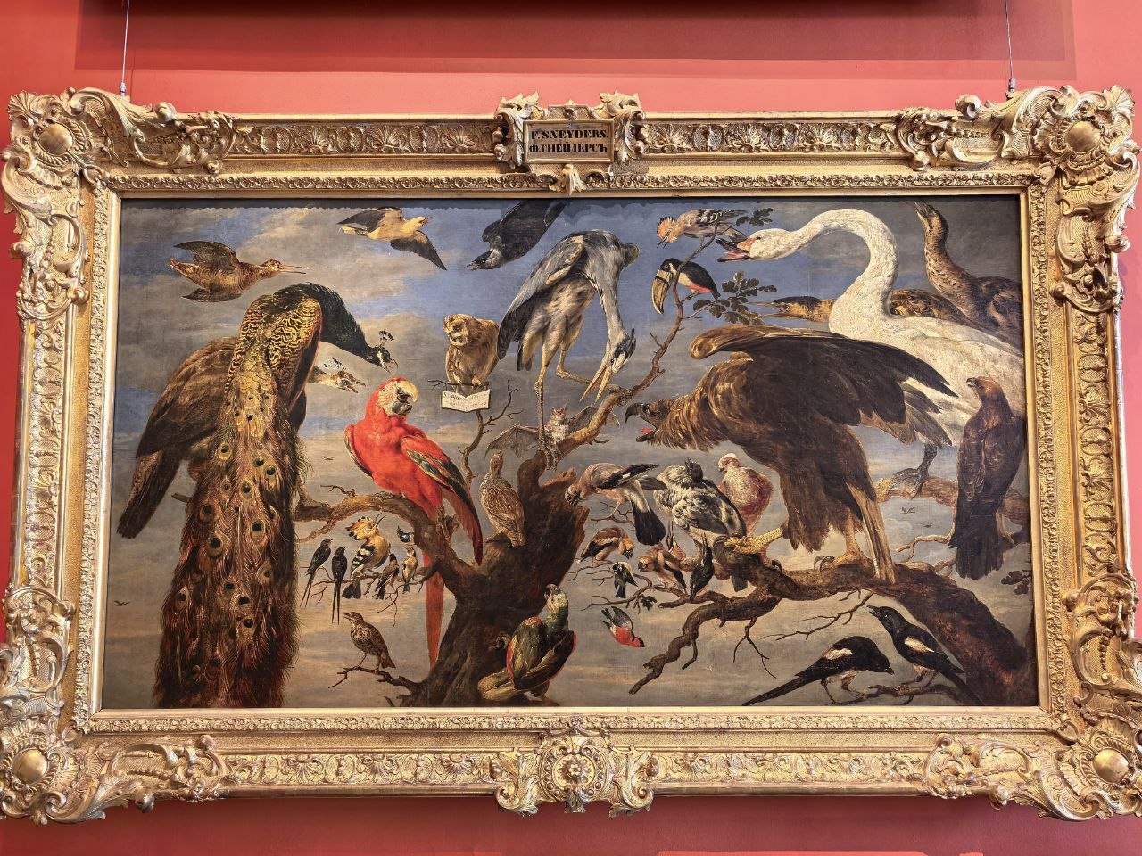 Франс Снейдерс (1579–1657). «Птичий концерт». Холст, масло. Поступление 1779, собрание сэра Р. Уолпола