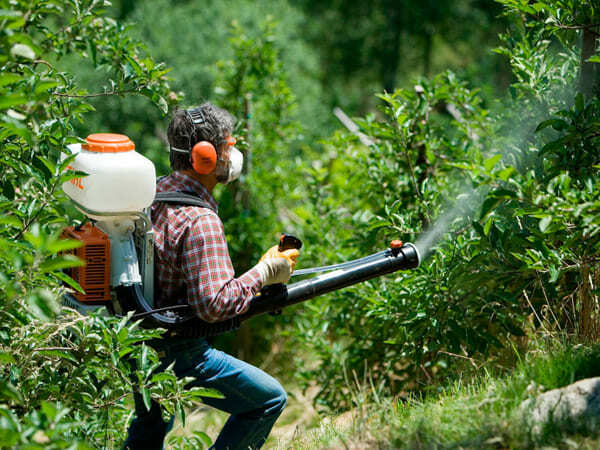 Семейный лагерь алтай