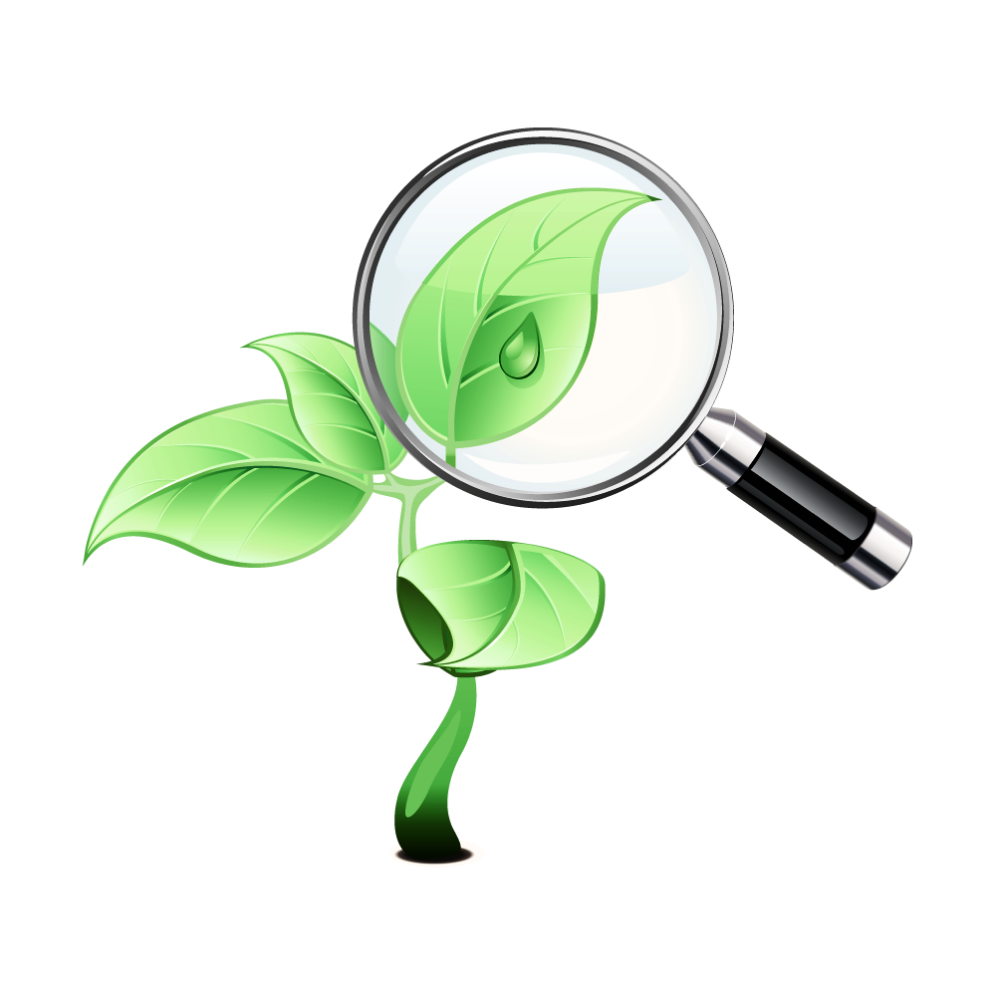 Потолочная система для кабинета Биологии