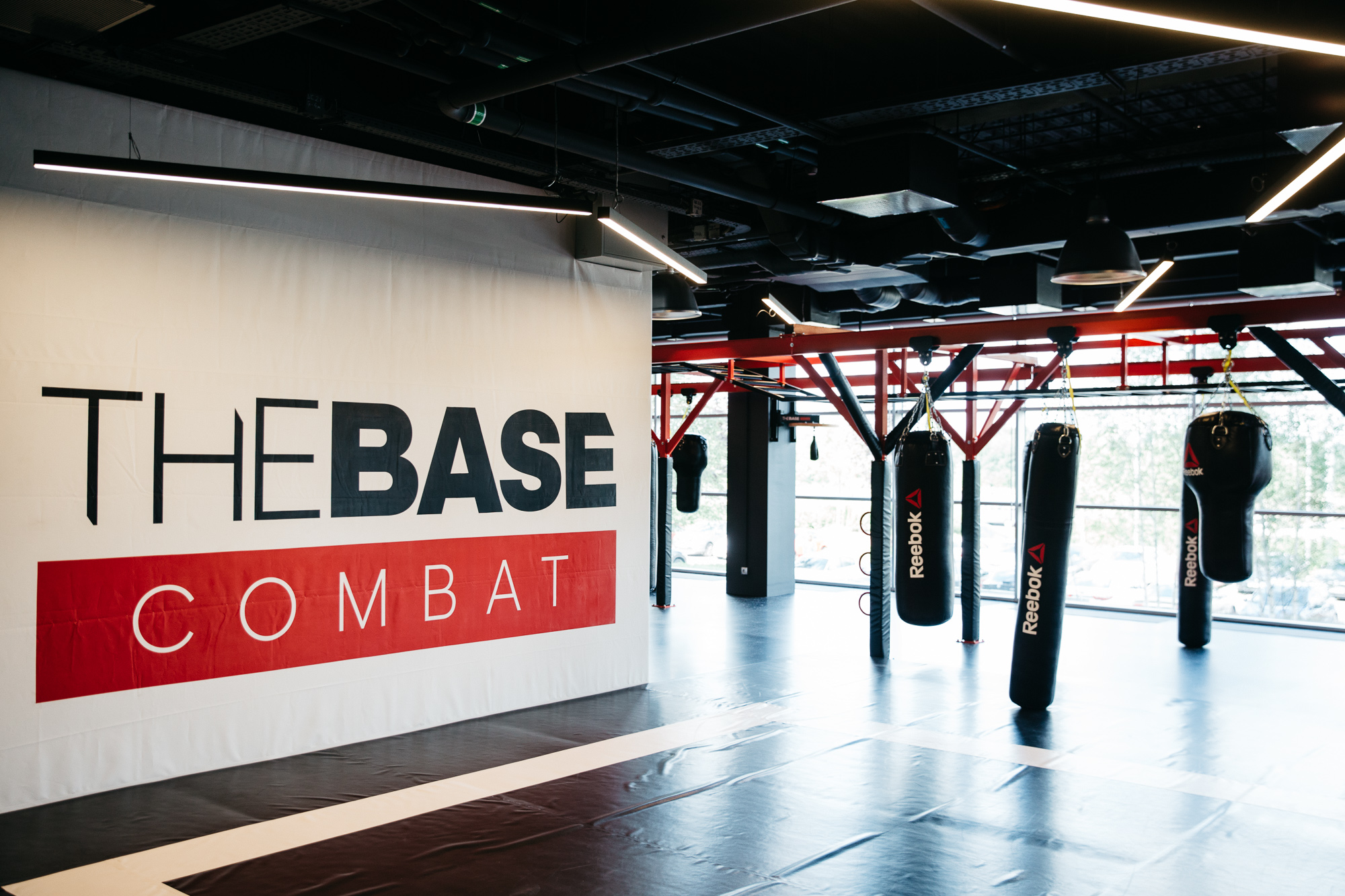 The base fitness