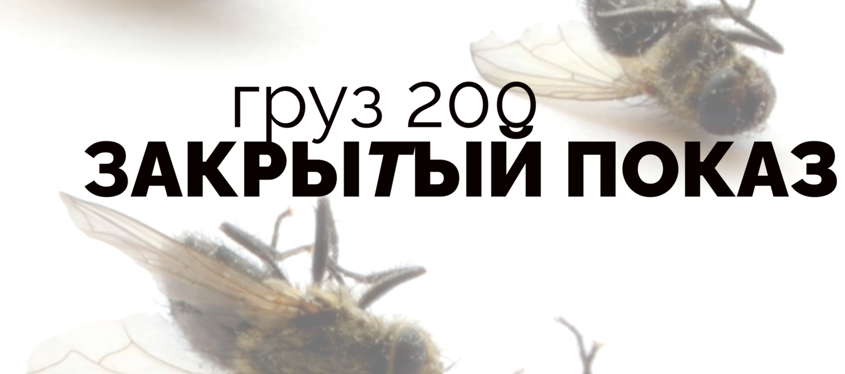 В споре рождается истина