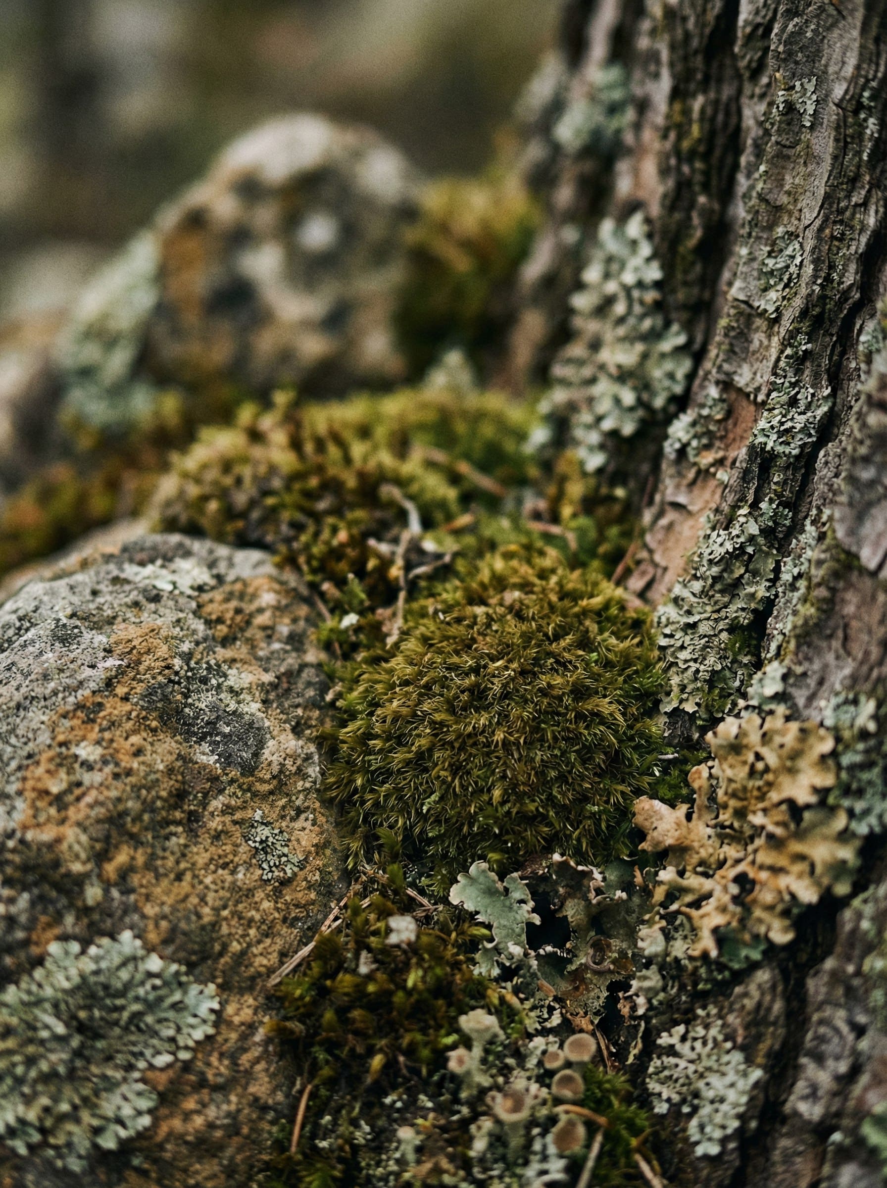 Производство