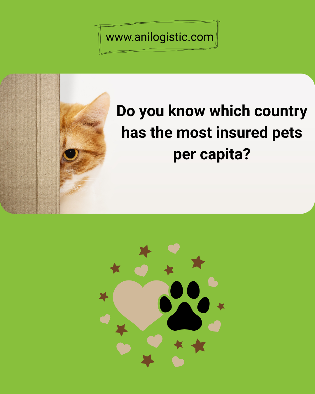 Pet insurance in Sweden — 90% of dogs and 50% of cats are insured