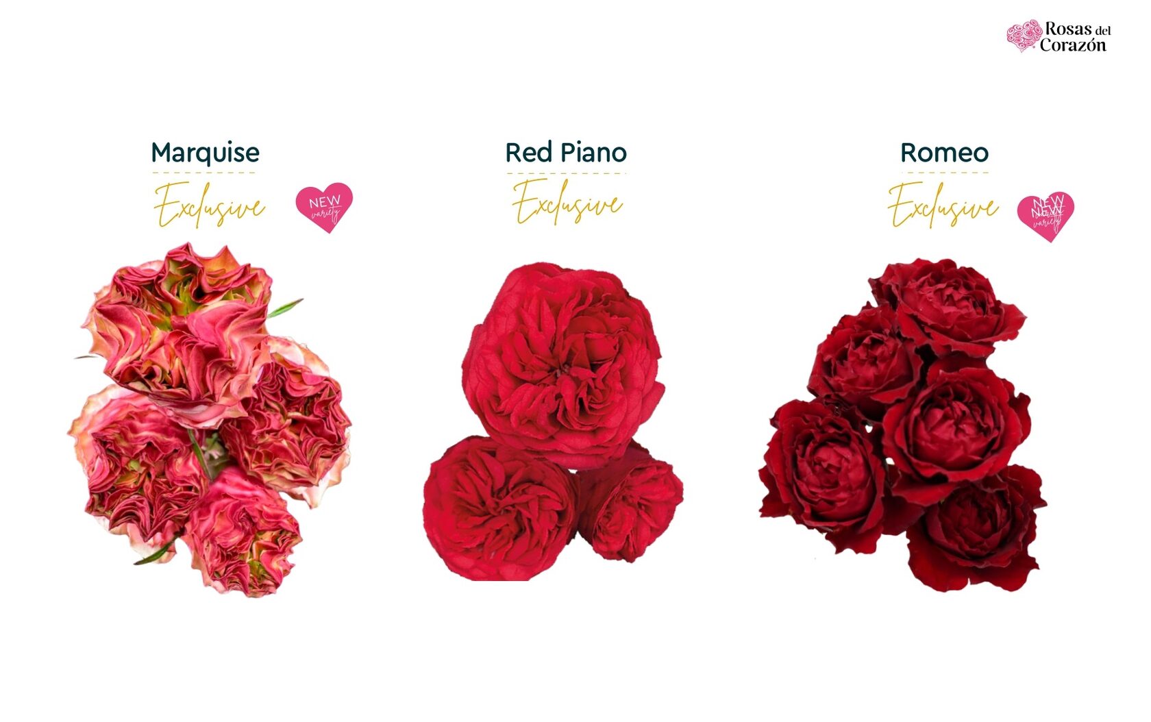 Marquise, Red Piano, Romeo