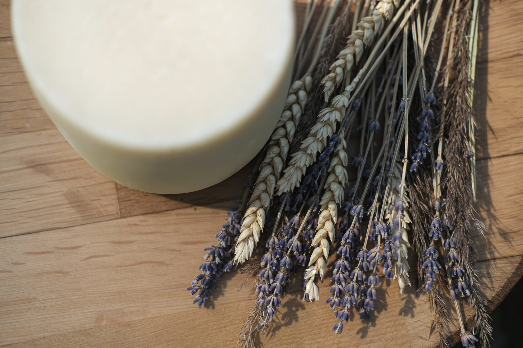 Купить сыр в Санкт-Петербурге