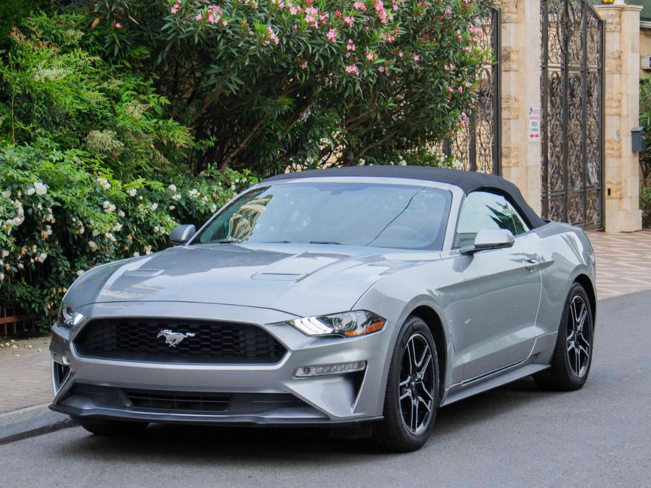 Аренда Ford Mustang в Сочи без Посредников по низким ценам - Top Cars Sochi