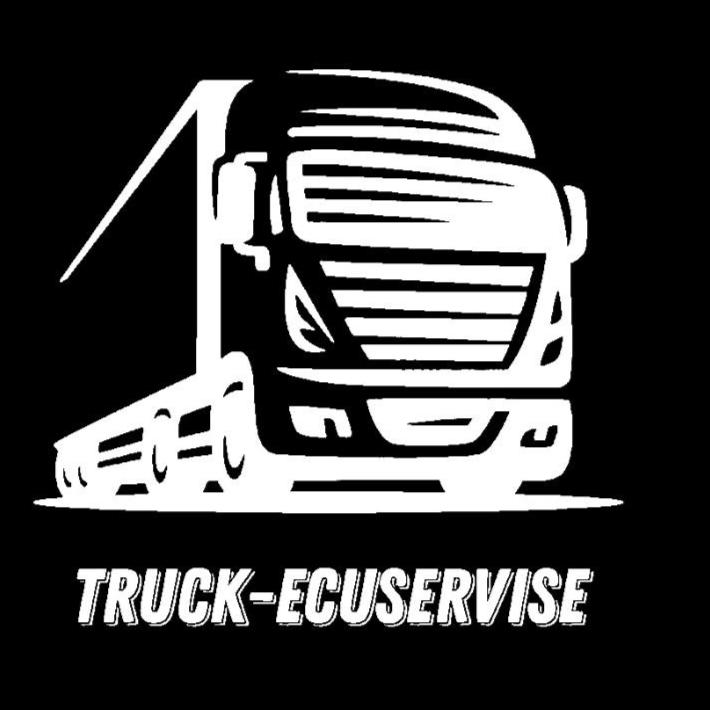  Truck-ecuservise 