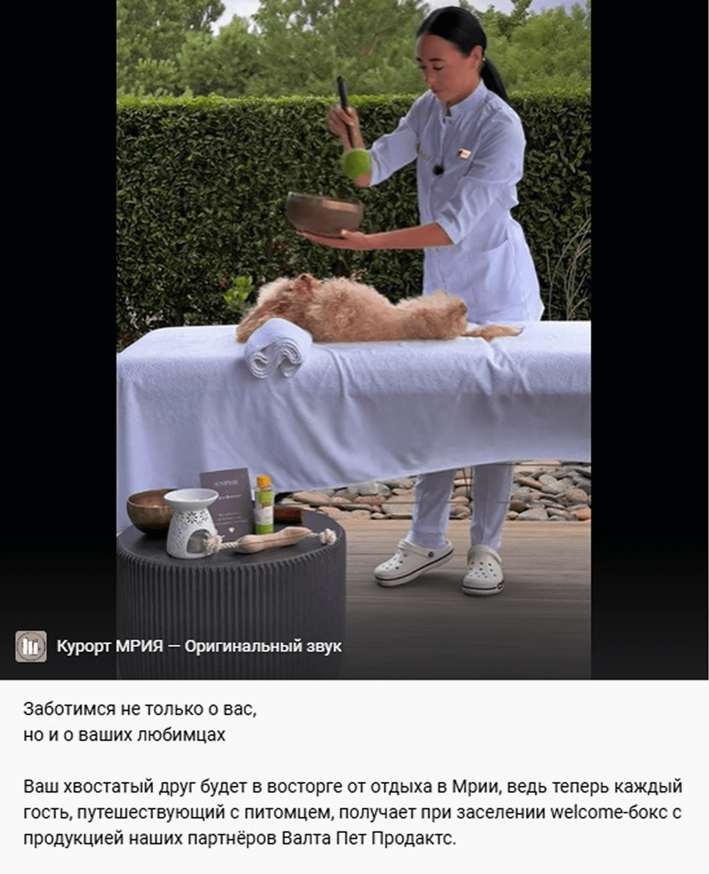 Развлекательный пост в соцсети отеля «Мрия»