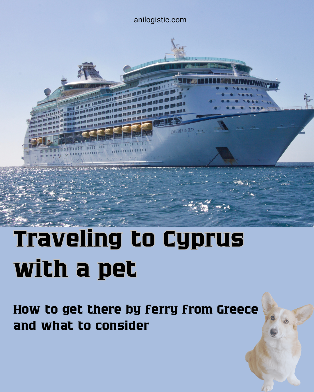 Traveling to Cyprus with a pet. How to get there by ferry from Greece