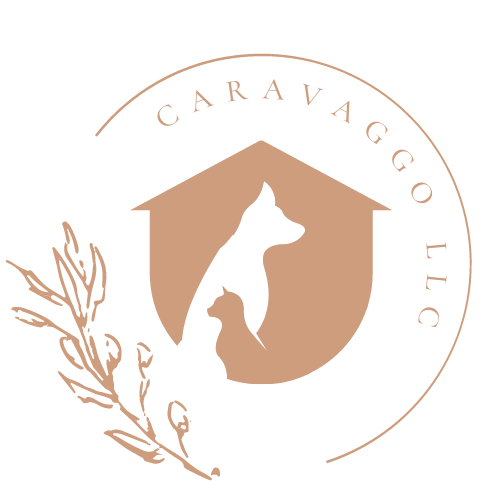 CARAVAGGO LLC