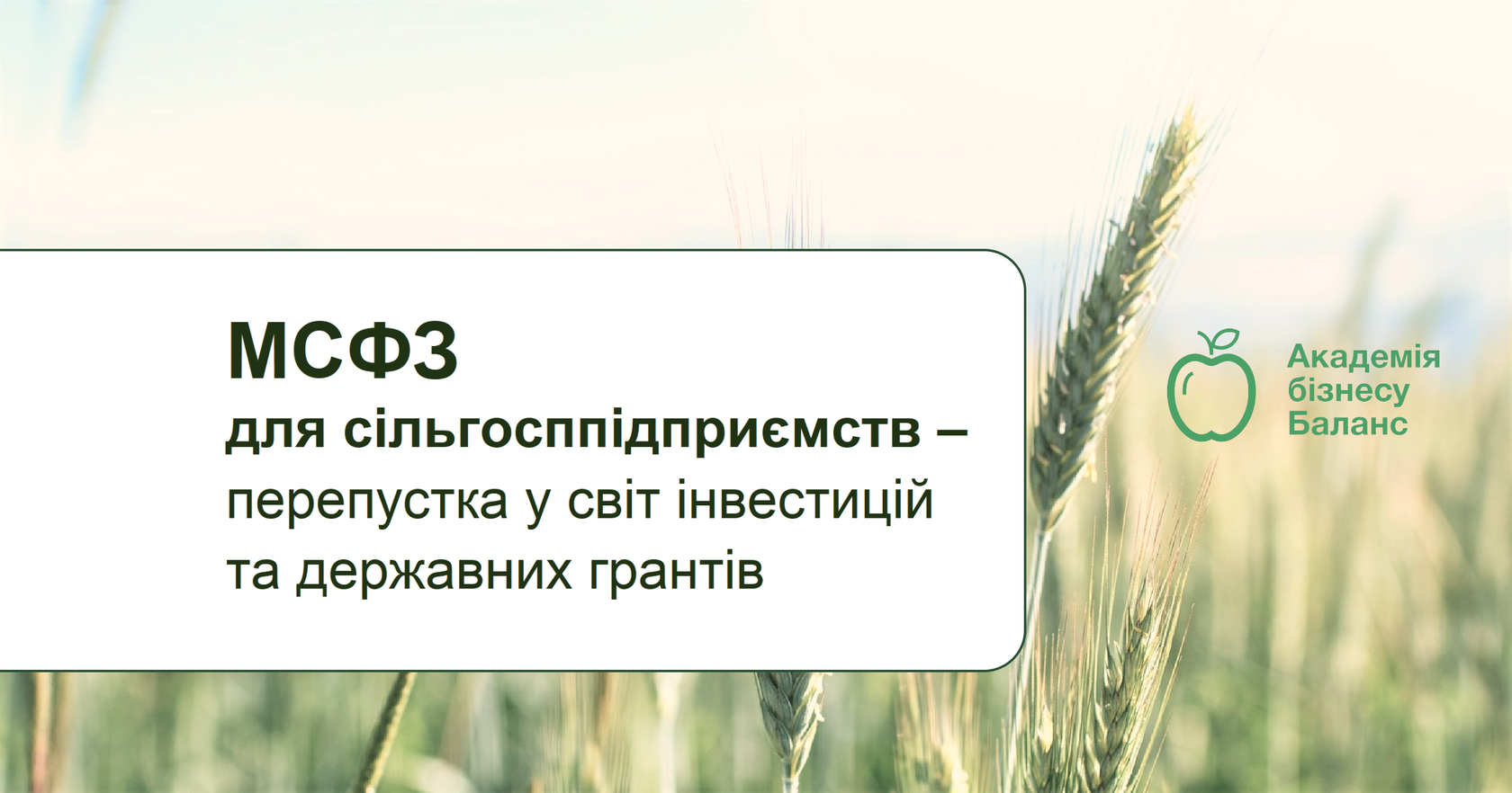 Курс «МСФЗ для сільгосппідприємств – перепустка у світ інвестицій та державних грантів» від Академії бізнесу Баланс