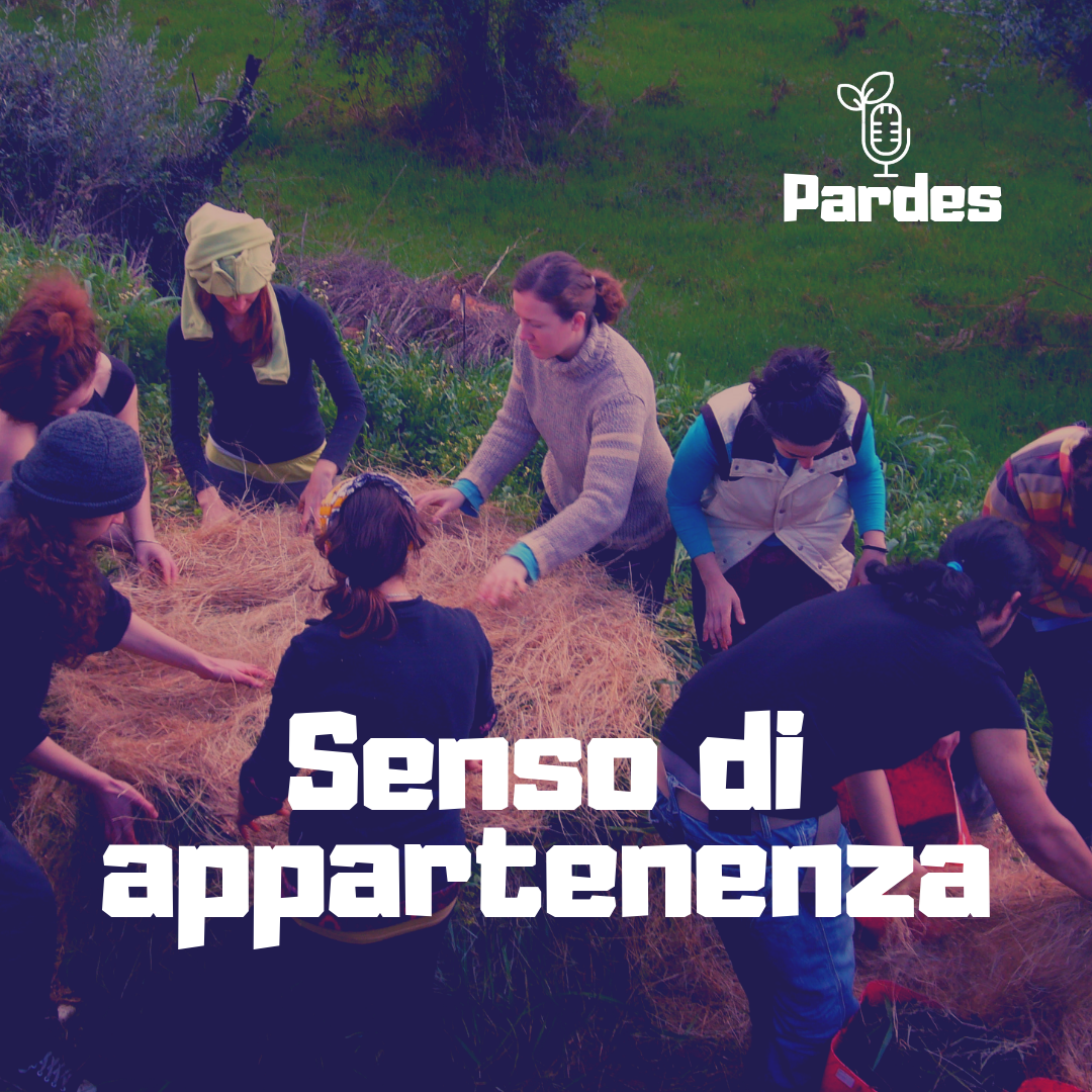 Senso Di Appartenenza In Amore PARDES 035 - e - appartenenza