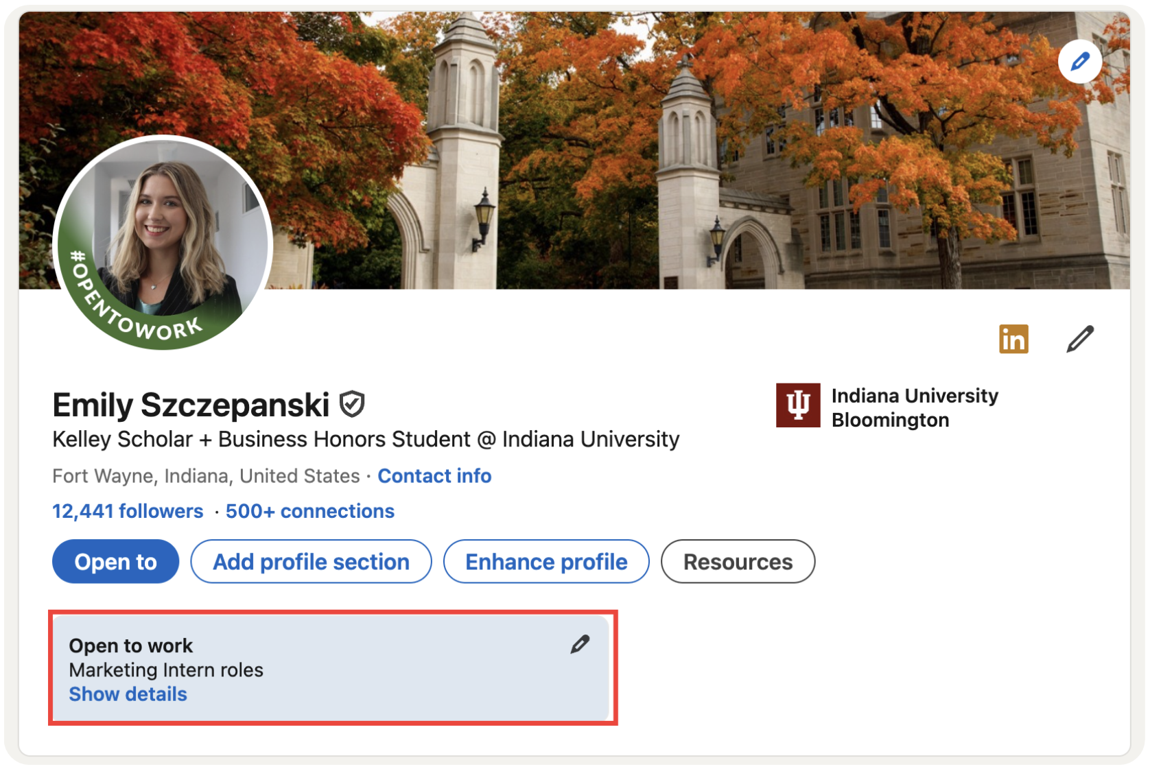 Настройка Open to work в LinkedIn: показать поиск только рекрутерам.