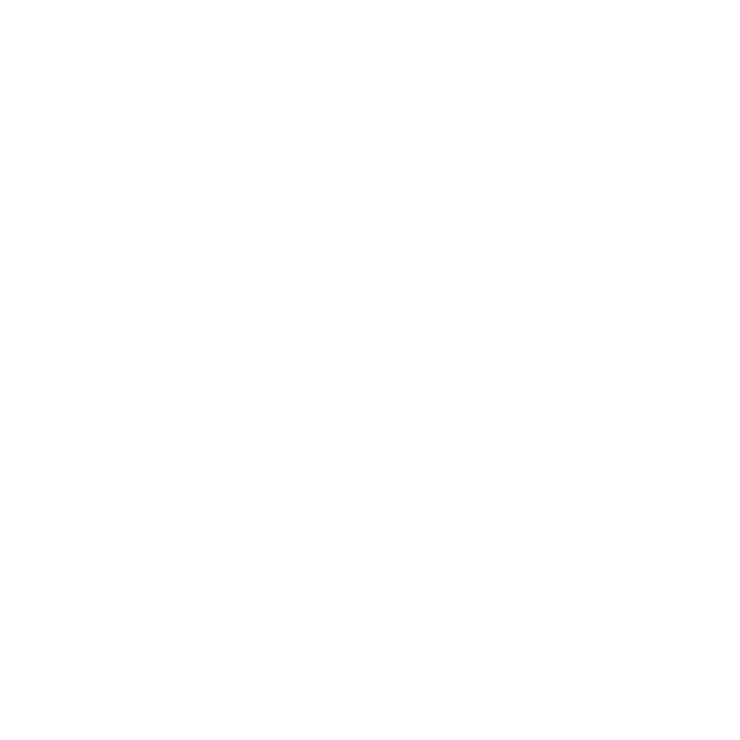  VoyageurPaw 
