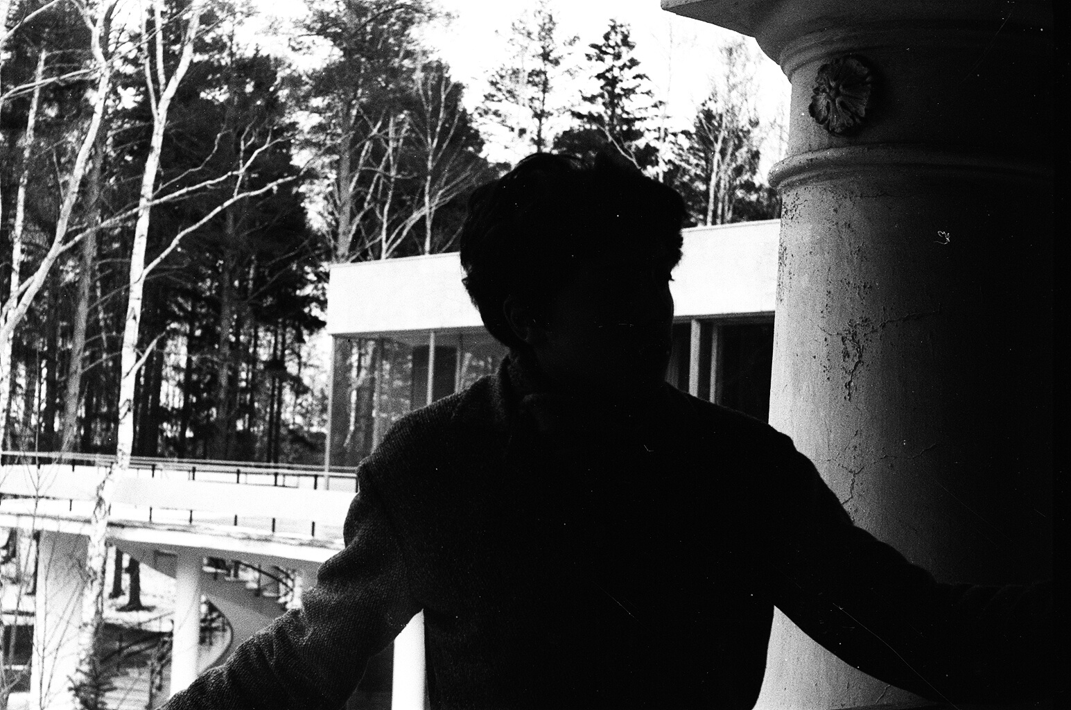 Хроники Переделкина. Записки исследователей