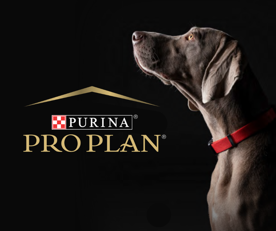 PRO PLAN, кадр 1 из 11