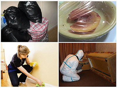 как подготовить квартиру к дезинсекции от клопов