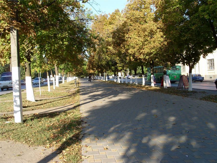 Последние новочеркасск. Аллеи Новочеркасска. Новочеркасск аллея на Баклановском. Баклановский проспект Новочеркасск парк. Аллея героев Новочеркасск.