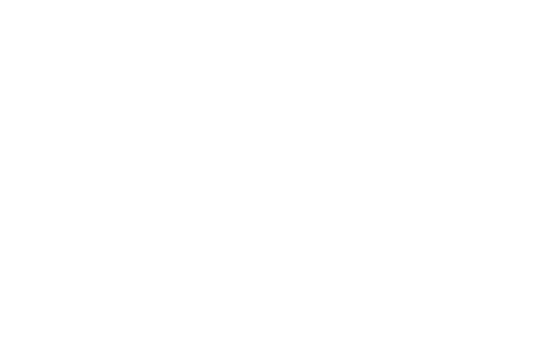 Дело закрыто