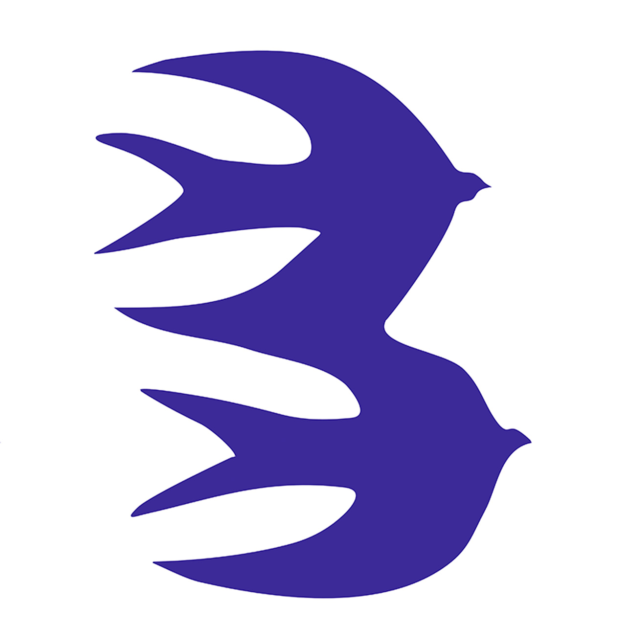 Montenegro Design by Aida Yulia