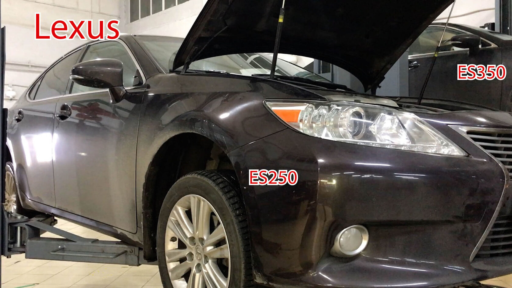Два Lexus ES 2013 года на подъёмниках сервиса ТРПЛАНТ: ES250 и ES350 с открытым капотом