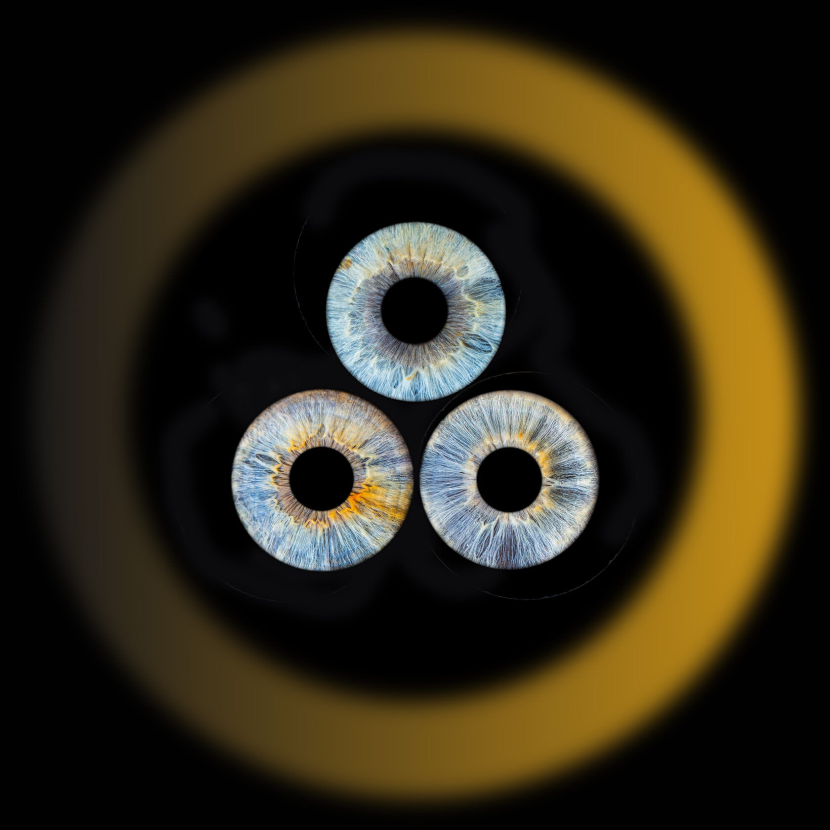 восьмой сад