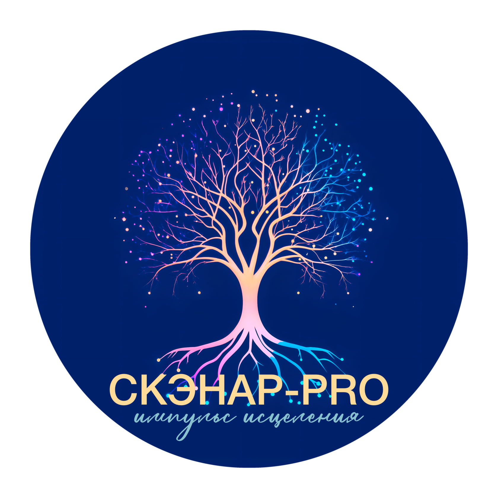 Консультация СКЭНАР-терапевта ПЛИСКО ЕВГЕНИИ