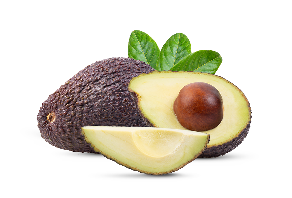 Щитовидная железа