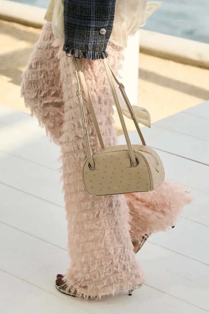 Сумки Dior Spring 2027 15