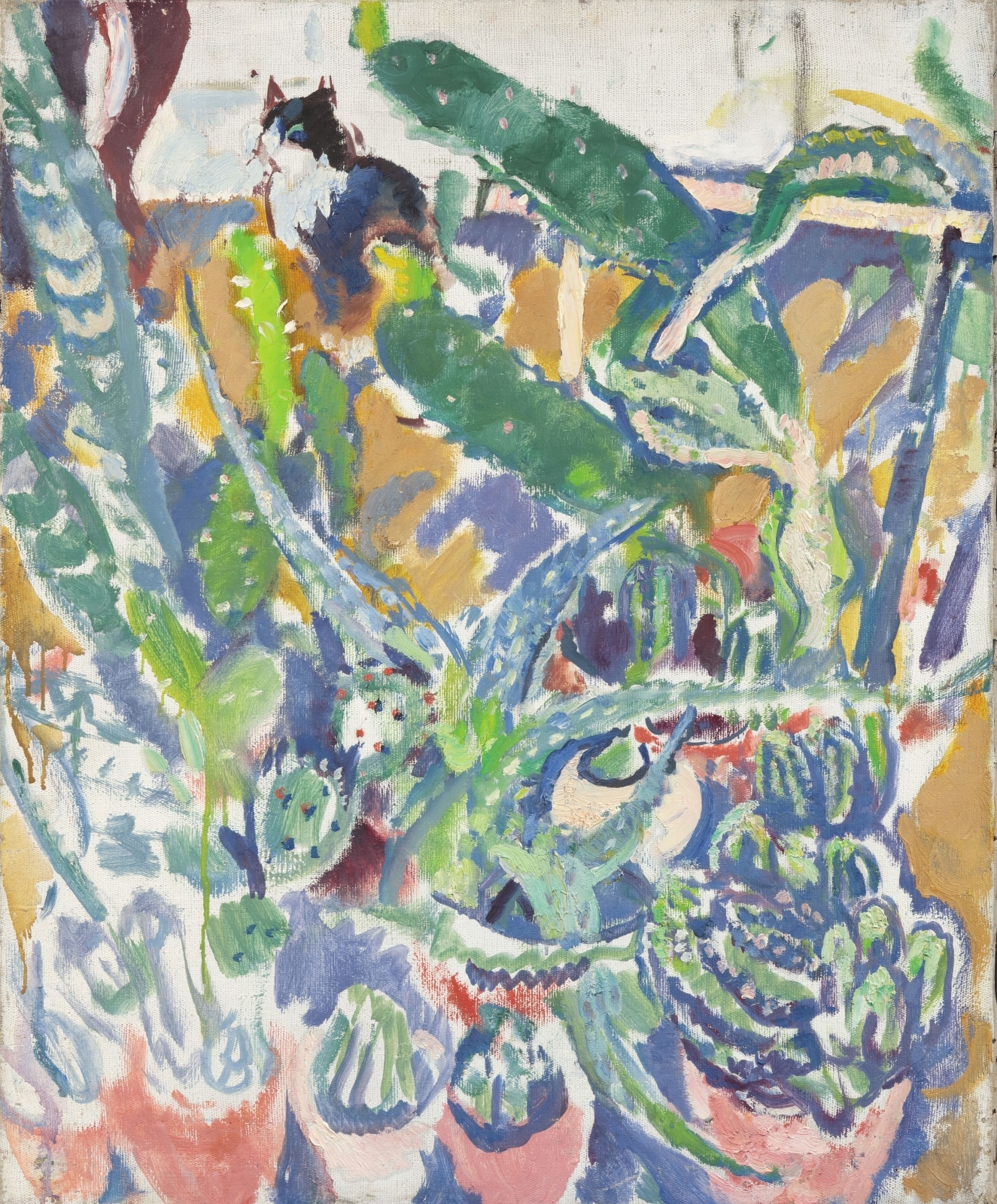 Кактусы и кошка. 1968 