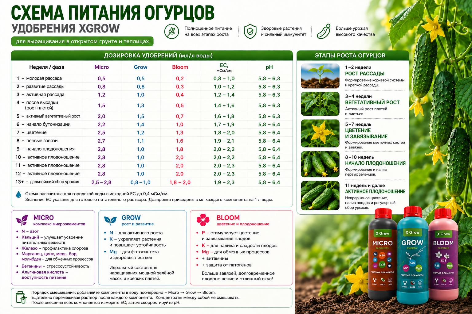 Схема питания огурцов