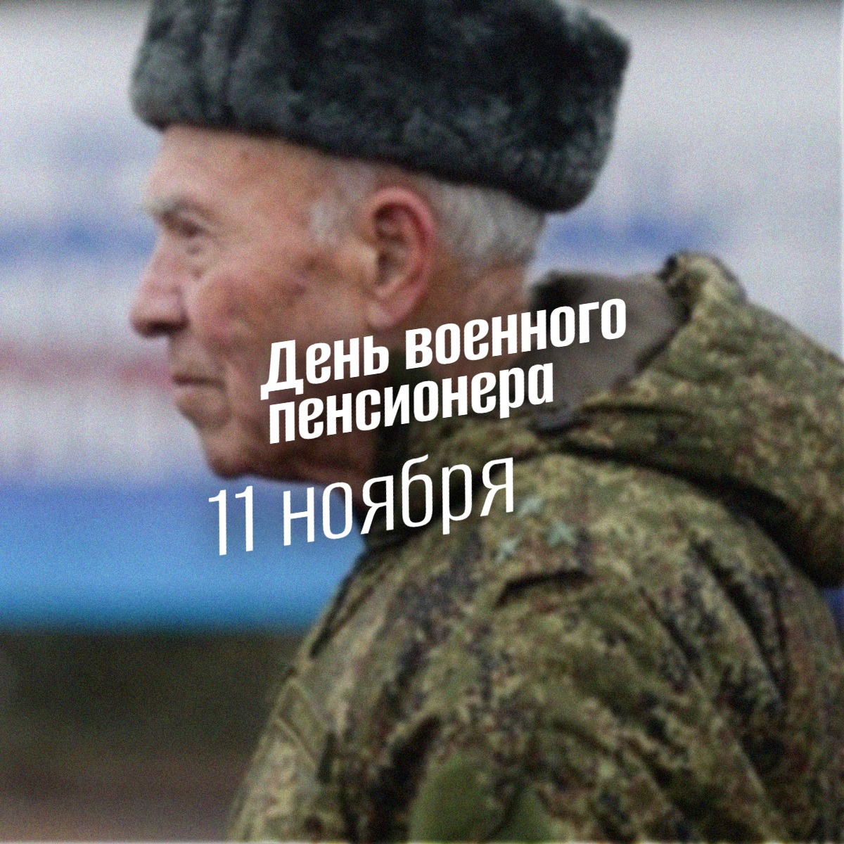 День военного пенсионера 11 ноября