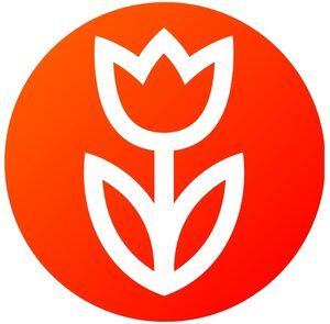 website icon