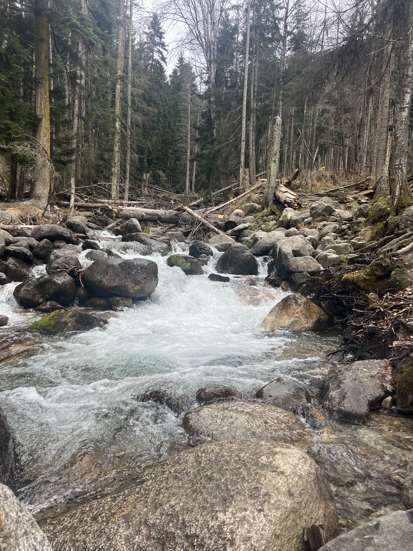 Путешествие по Домбаю