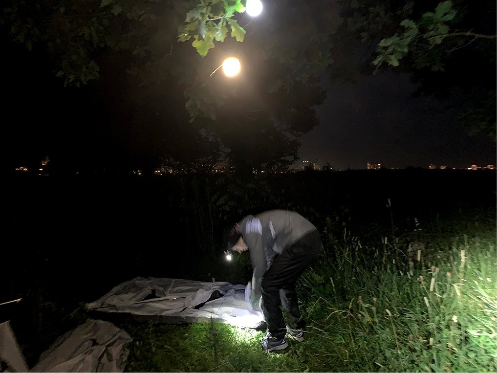 Игорь разбивает лагерь