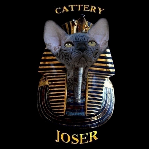 Influence of rizal on present day image