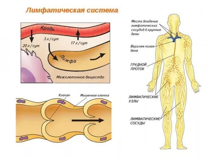 Лимфодренажный массаж лица