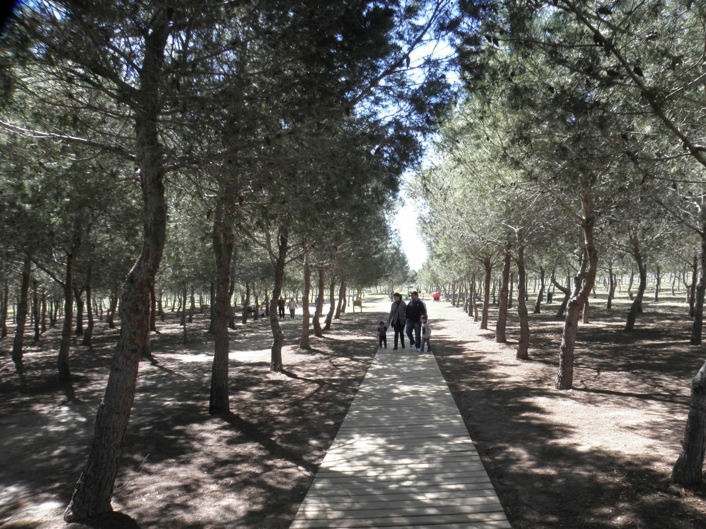 Parque Lo Albentosa Torrevieja