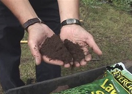 Уход за газоном