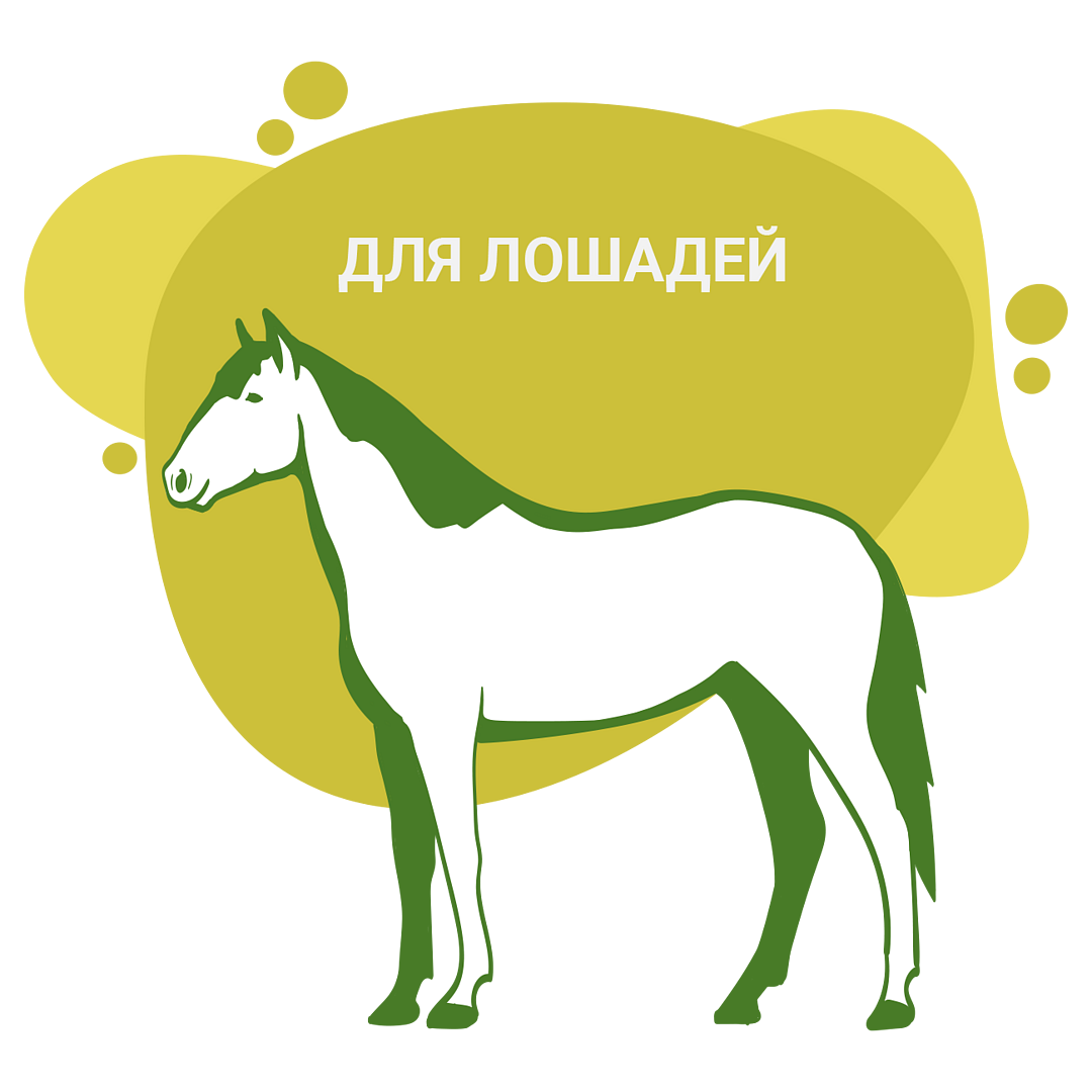 Комбикорма для Лошадей | Завод CBS Волосово