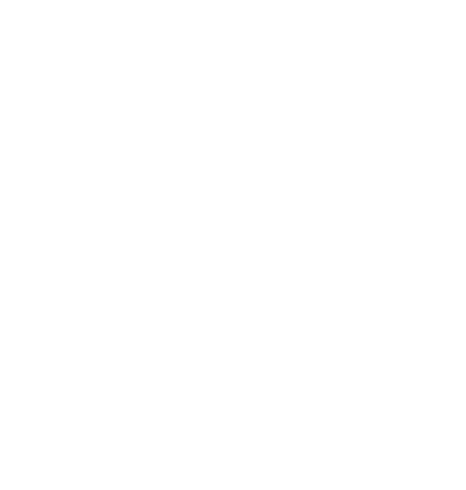Возведение