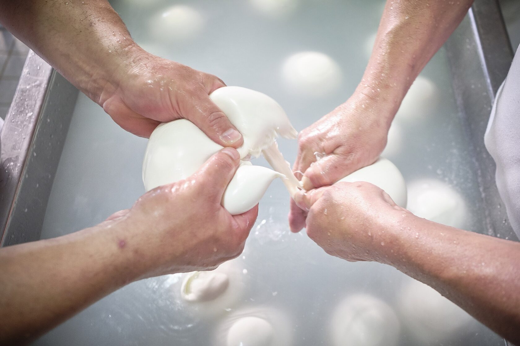 Процесс моццатуры моцареллы ди буфала. Ручное производство сыра