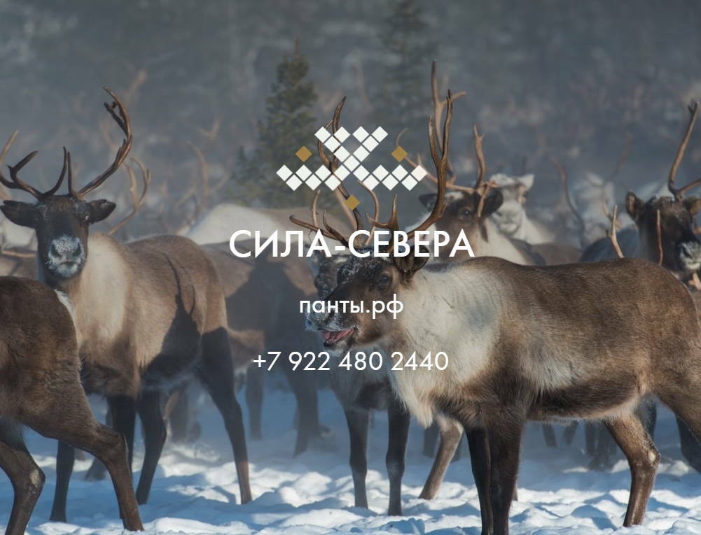 СИЛА СЕВЕРА | Северный комплекс восстановления молодости | Пантовый ...